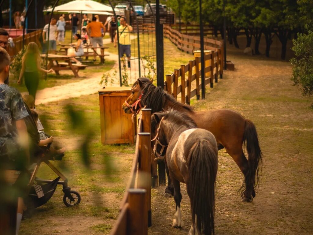 Παιδική χαρά στο Pozar Park